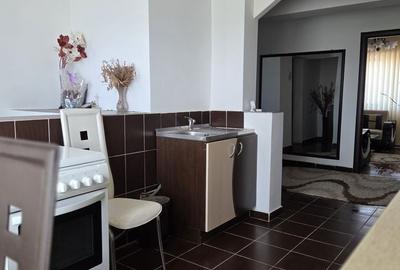 Apartament cu 4 camere în Lăpuș Argeș