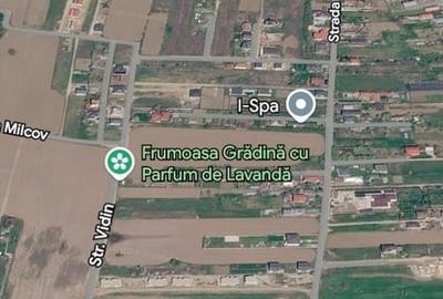 Teren în Snagov