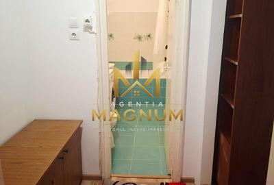 Apartament cu 2 camere semidecomandat în Săsar - 4