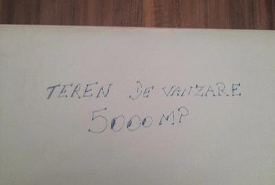 Teren de 5000 mp, în Poenari