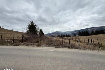 Teren de 1700 mp, în Albac - 7