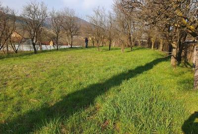 Teren de 1800 mp, în Viișoara - 6