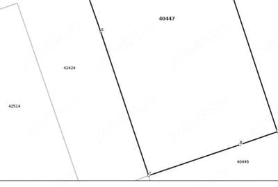 Casă cu Teren 2700 Mp în Băneasa