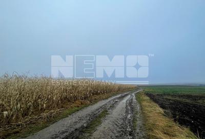 Teren agricol extravilan de 28400 mp, în Dărmănești - 8