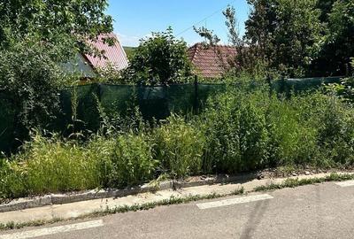 Casă cu 2 camere cu Teren 1200 Mp în Schitu Duca - 3