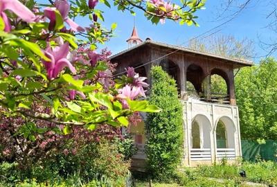Casă individuală cu 5 camere cu Canalizare în Snagov - 9