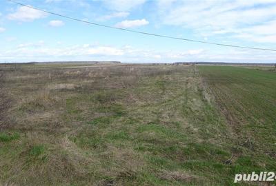 Teren de 4400 mp, în Tărtășești - 3