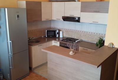 Apartament cu 2 camere semidecomandat în Oncea - 3