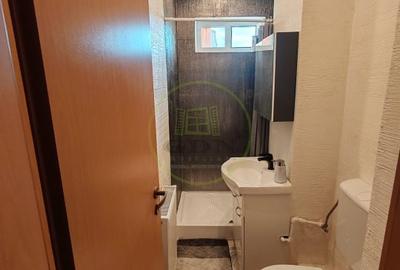 Apartament cu 3 camere semidecomandat, mobilat în Mihai Viteazul - 12