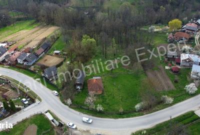 Casă cu 2 camere cu Teren 5800 Mp în Valea Danului - 1