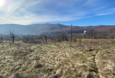 Teren în Balotești - 8