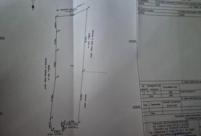 Teren de 285 mp, în Central
