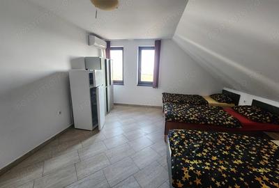 Casă cu 2 camere în Sânandrei