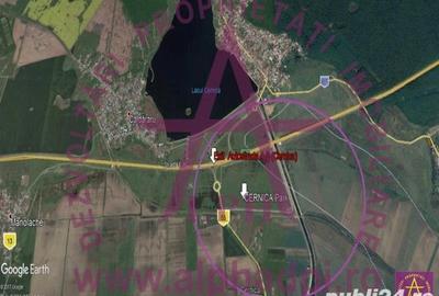 Teren de 125000 mp, în Glina - 3