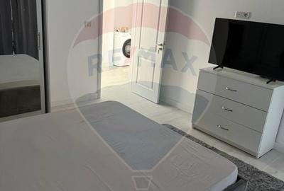 Apartament cu 3 camere decomandat, mobilat în Brazda lui Novac - 7