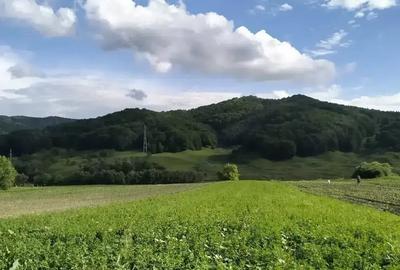 Teren de 2792 mp, în Rotarea - 2