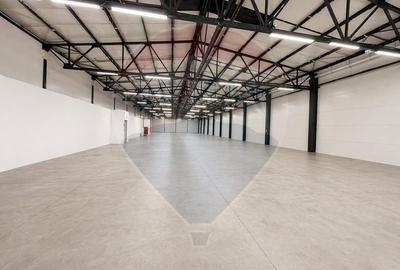 Spațiu industrial, de 1,188 mp, în 13 Decembrie - 3