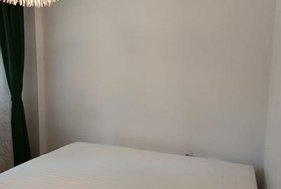 Apartament cu 2 camere semidecomandat, mobilat în Podu Roș - 2