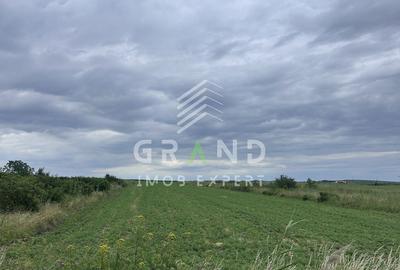Teren de 5700 mp, în Săndulești
