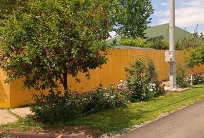 Casă cu 5 camere cu Teren 1325 Mp în Central - 10