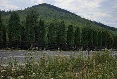 Teren de 5500 mp, în Hurez - 3