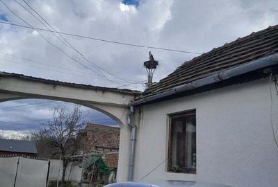 Casă cu 6 camere cu Teren 9000 Mp în Orăștioara de Jos - 2