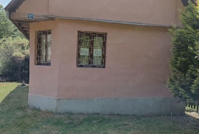 Casă cu 2 camere în Pietroasa - 1
