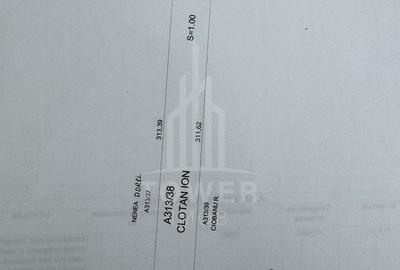 Teren agricol intravilan de 10000 mp, în Șura Mică - 4