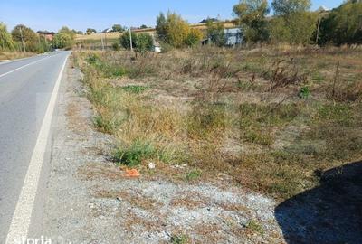 Teren de 3800 mp, în Moara