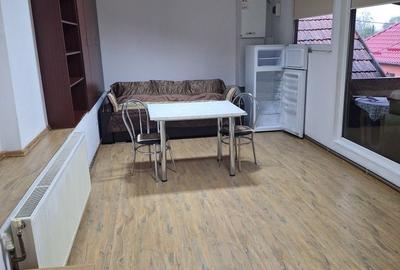 Casă cu 2 camere în Luduș - 5