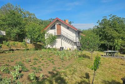Casă cu 2 camere cu Teren 2283 Mp în Silagiu - 2
