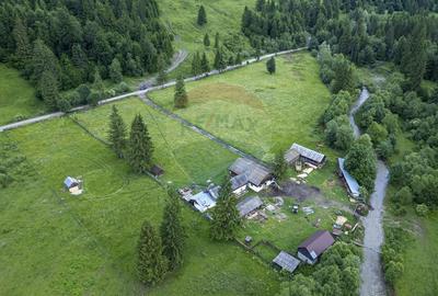 Proprietate specială, de 680 mp, în Coșnea