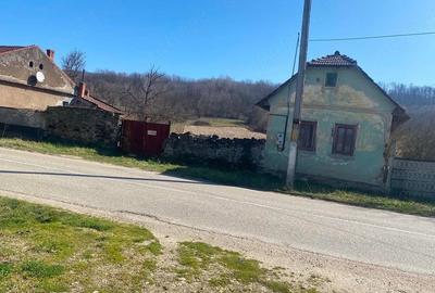 Casă cu Teren 11000 Mp în Fârdea