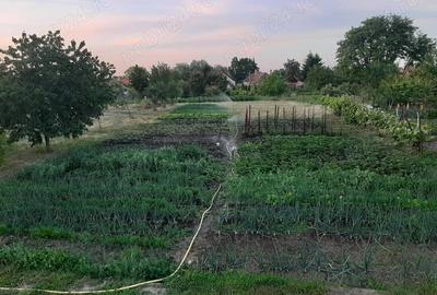 Casă cu 2 camere cu Teren 2000 Mp în Central