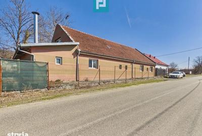 Casă cu 8 camere cu Teren 22919 Mp în Constantin Daicoviciu - 2
