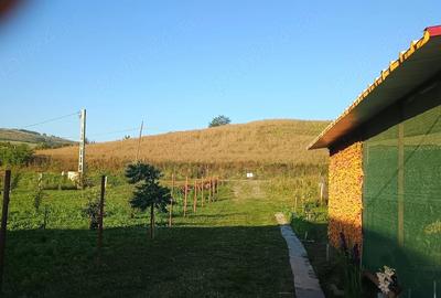 Teren de 1800 mp, în Gădălin