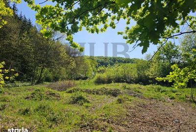 Teren de 3128 mp, în Mărgineni - 4