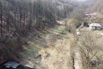 Teren de 2291 mp, în Merișani - 1