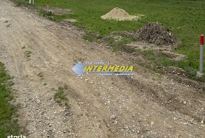 Spațiu comercial, în Cetate - 3