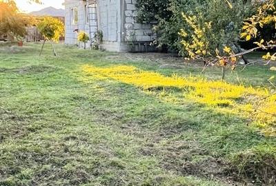 Casă cu 5 camere cu Teren 954 Mp în Central
