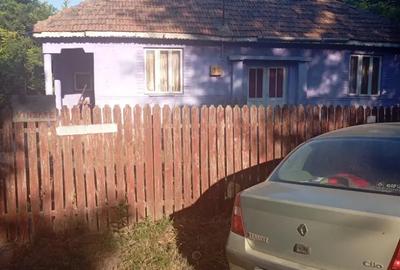 Casă cu 6 camere cu Teren 6000 Mp în Mircea Vodă - 2