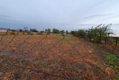 Teren de 1739 mp, în Padina - 6
