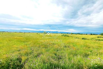 Teren agricol extravilan de 10000 mp, în Bucureasa - 6