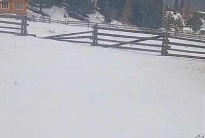 Teren de 8179 mp, în Cârlibaba - 1