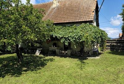 Casă cu 3 camere în Buduș - 2