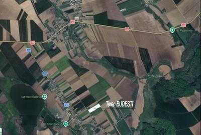 Teren Construcții intravilan de 10000 mp, în Budești - 1
