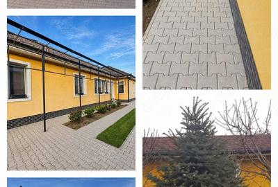Casă cu 3 camere cu Teren 470 Mp în Sâncraiu de Mureș - 3