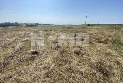 Teren agricol extravilan de 3401 mp, în Burdujeni - 1