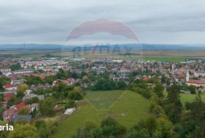 Teren de 726 mp, în Poiana Angelescu - 11