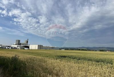 Teren de 8800 mp, în Roznov - 4